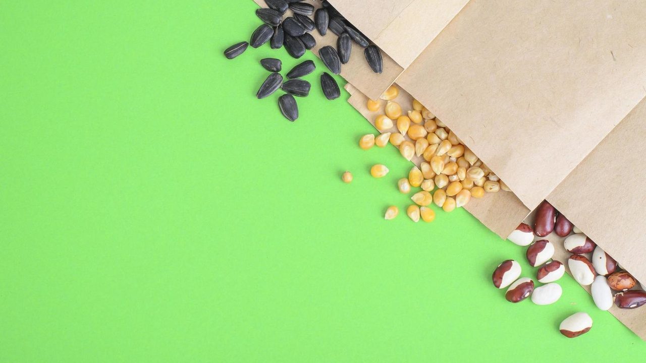 Seeds in paper bags as a basis for smart seasonal planning